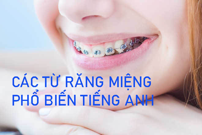 Các từ răng miệng phổ biến tiếng anh